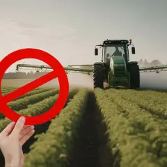 Zakaz oprysków na chwasty. Traktor na polu uprawnym, ręka trzyma znak zakazu.