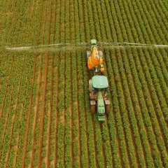 Traktor opryskuje pole, dbając o odpowiednią dawkę siarczanu magnezu na hektar dla zdrowych roślin.