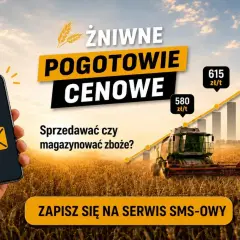 Aktualne ceny zbóż rosną! Zobacz, czy sprzedawać, czy magazynować. Zapisz się na serwis SMS-owy.