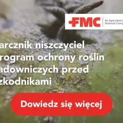 Tarcznik niszczyciel na jabłku. Program ochrony roślin sadowniczych przed szkodnikami. Dowiedz się więcej.