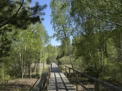 Rezerwat Przyrody Jata - unikalne miejsca i tajemnice natury