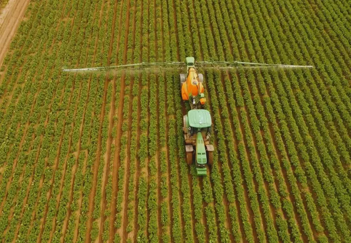 Traktor opryskuje pole, dbając o odpowiednią dawkę siarczanu magnezu na hektar dla zdrowych roślin.