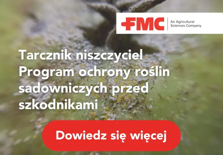 Tarcznik niszczyciel na jabłku. Program ochrony roślin sadowniczych przed szkodnikami. Dowiedz się więcej.