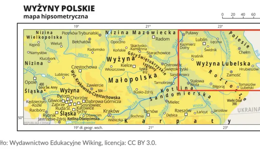 Co uprawia się na wyżynie lubelskiej? Odkryj zaskakujące rośliny