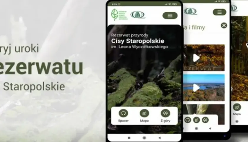 Najstarszy rezerwat przyrody w Polsce - historia i unikalne atrakcje