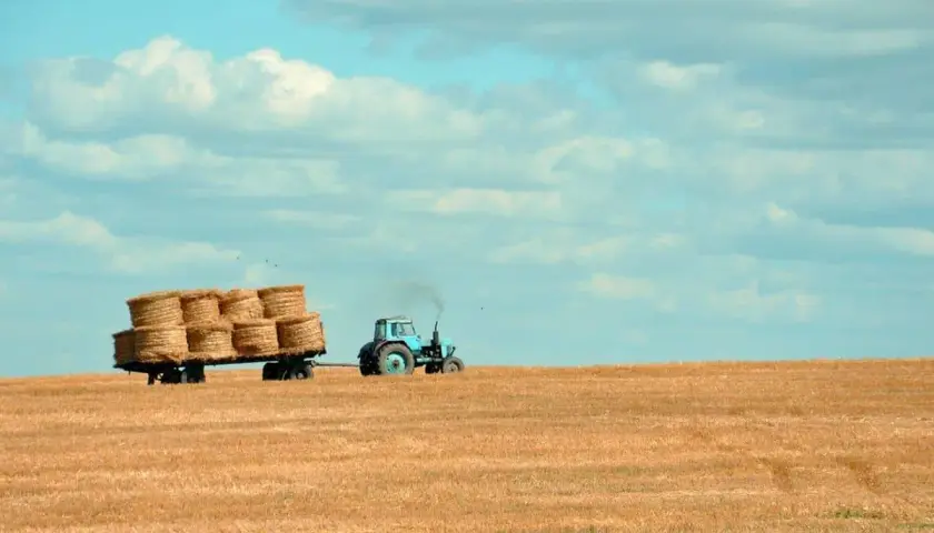 Niebieski traktor z przyczepą pełną bel siana na polu. To obraz ciężkiej pracy rolnika, który zasługuje na prawo do emerytury rolniczej według nowych zasad.