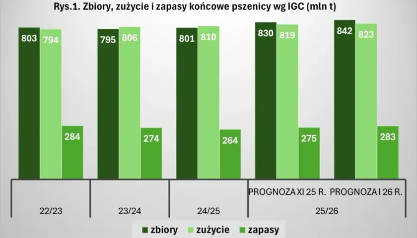 Wykres pokazuje prognozy zbiorów, zużycia i zapasów pszenicy. Czy ceny zbóż wzrosną? Zobacz dane!