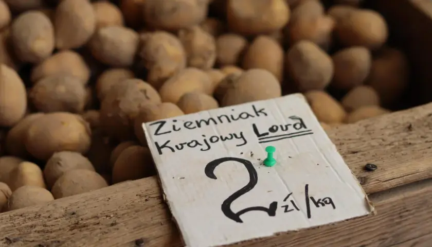Ziemniak krajowy Lord. Cena ziemniaków 2 zł/kg.