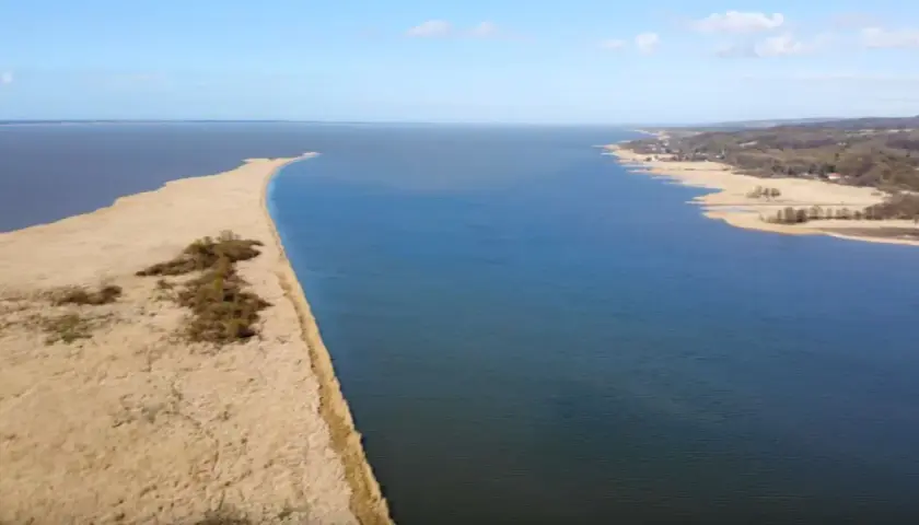 Rezerwat przyrody Zatoka Elbląska - fascynujący świat ptaków i przyrody