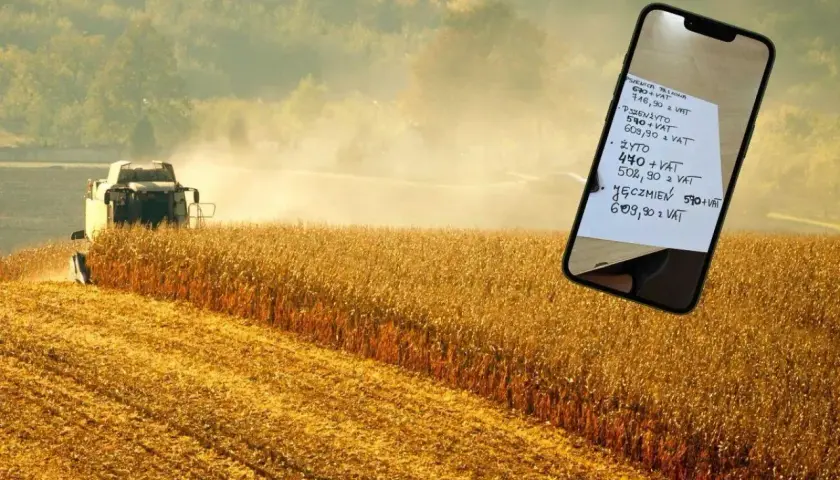 Żniwa kukurydzy w tle, na pierwszym planie smartfon z notatką o cenach zbóż: pszenica, pszenżyto, żyto, jęczmień. Ceny zbóż Woźniak.