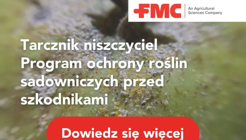 Tarcznik niszczyciel na jabłku. Program ochrony roślin sadowniczych przed szkodnikami. Dowiedz się więcej.