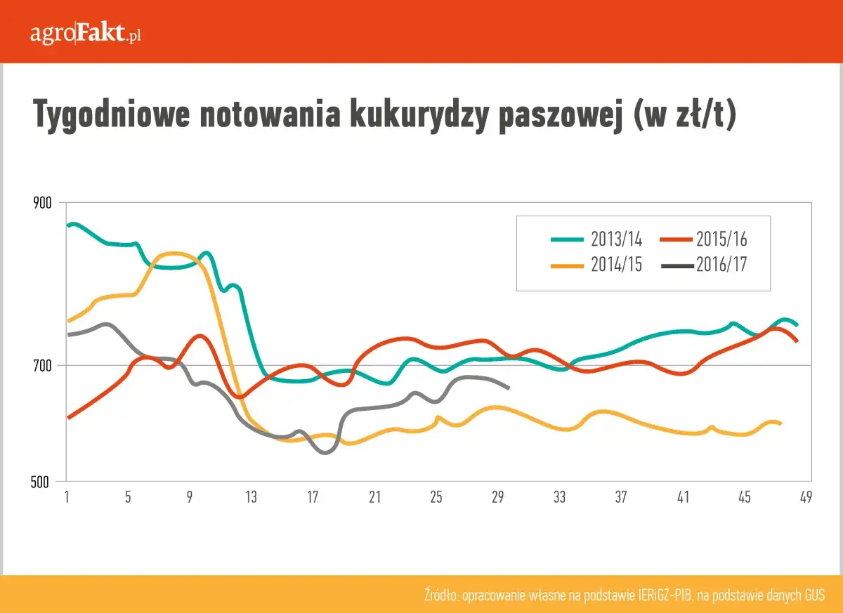 Wykres przedstawia tygodniowe notowania kukurydzy paszowej w zł/t w latach 2013-2017, ukazując aktualne ceny zbóż.
